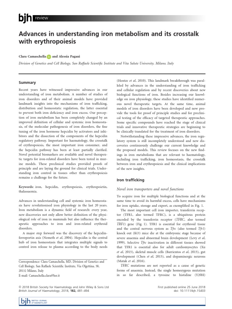 Advances in Iron Metabolism and Erythropoiesis | PDF | Interleukin 6 ...
