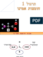 חומצות האמינו