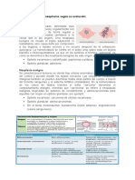 Clasificación de Las Neoplasias Según Su Evolución