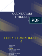 Karın Duvarı Fıtıkları