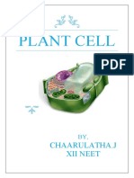 Plant Cell Biology Final