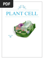 Plant Cell Biology