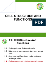 Cell 4