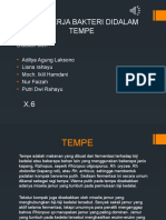 Pdfslide - Tips Pptpembuatan-Tempe