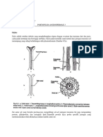 Frengki Saputro - 4401419088 - Angiospermae 3