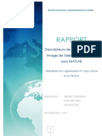 Rapport - IZI - Descripteurs de Texture