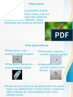 Plasmodium