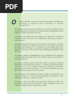 Inf Cadena Frijol | PDF | Agricultura | Nicaragua