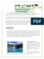 Areas Naturales Protegidas Practica 4to