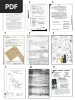 Sharon Picture Collage