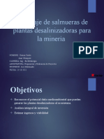 PPT PROYECTO SODA