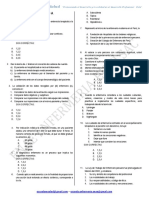 Examen Tipo A - Simulacro Virtual