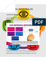 Sensopercepcion Vias Sensitivas