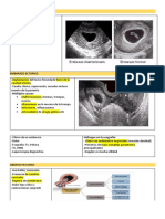 Embarazo Anembrionario - 7