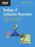 Download Geology of Carbonates Reservoir by Muhammad Nur Ali Akbar SN54982425 doc pdf