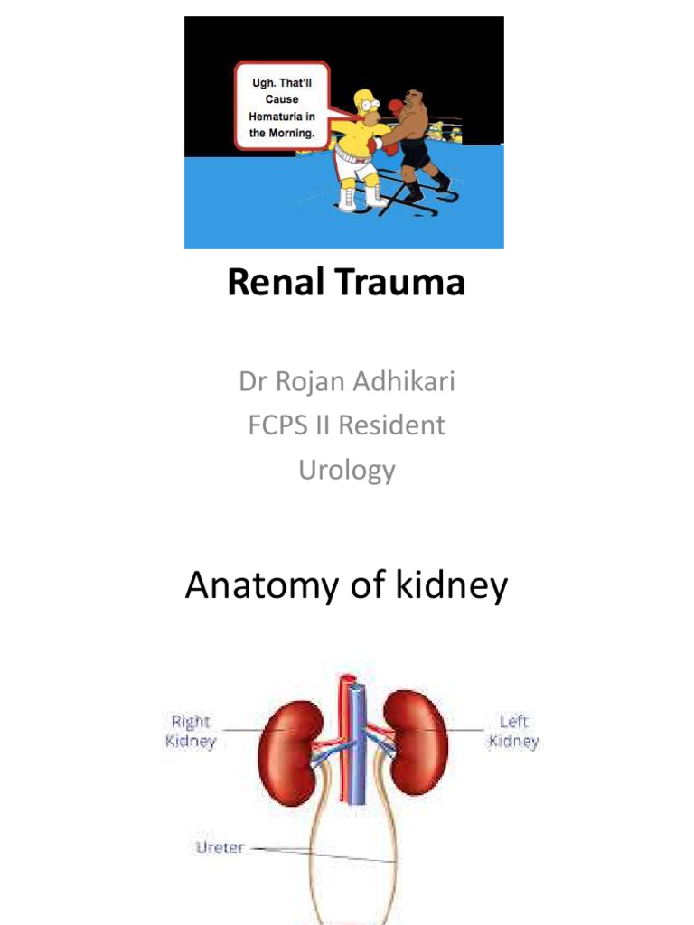 Renal Trauma PDF Kidney Diseases And Disorders