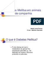 Diabetes em animais: causas, tipos e tratamento