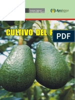 Cultivo_palto_2012
