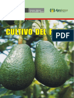 Cultivo Palto 2012