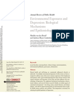 Environmental Exposures and Depression: Biological Mechanisms and Epidemiological Evidence