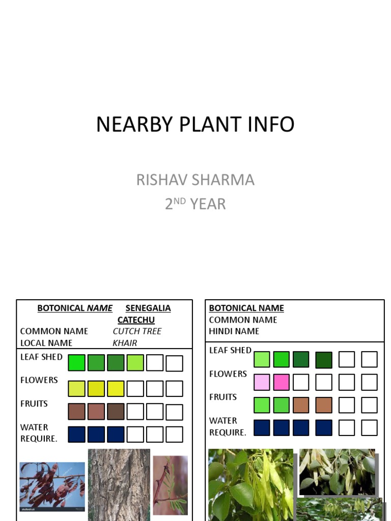 Information on the Botanical Names, Common Names, Hindi Names and