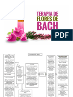 Resumen Flores de Bach
