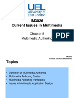 IM3026 Current Issues in Multimedia