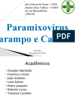Slide Paramixovrus 210.02