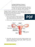 1.2. Alat Dan Fungsi Sistem Reproduksi