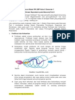 1.3. Proses Fertilisasi