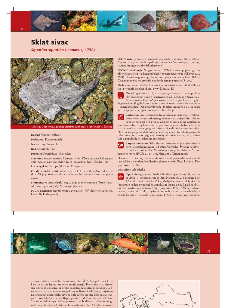 Crvena Knjiga Morskih Riba-Sklat | PDF