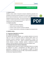 Resumen Igac PDF