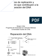 Replicacion y Recombinacion DNA