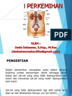 11_anatomi Fisiologi Sistem Perkemihan Fix_biomedik Kesmas