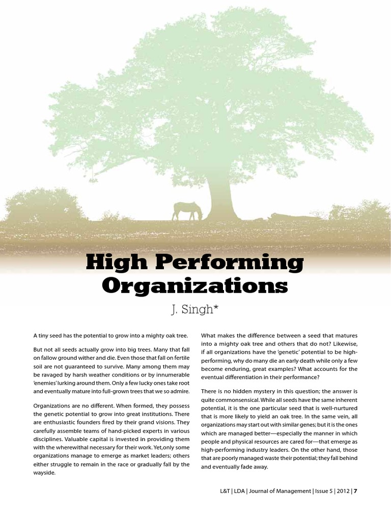 Traits of High Performing Organizations | PDF | Leadership | Strategic ...