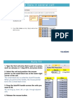 Filled Data in Several Cell