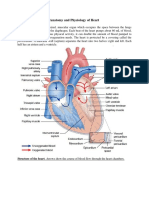 Anatomy and Physiology of Heart: Structure
