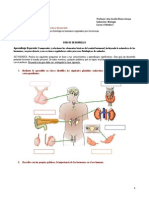 Guía de Desarrollo 4