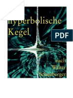 Radlberger - Der Hyperbolische Kegel Nach Walter Schauberger (2002)