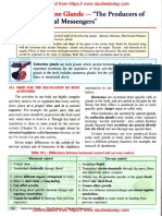 ICSE Class 10 Biology Chapter 10 Endocrine Glands