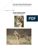 Federation Cynologique Internationale (Aisbl) : (Perro Lobo de Saarloos)