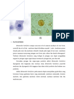 Entamoeba Histolytica