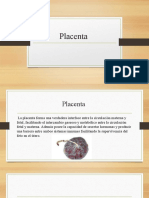 Placenta y Cordon Umbilical