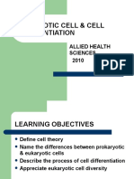 Eukaryotic Cell & Cell Differentiation