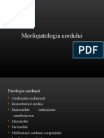 9 Morfopatologia Cordului (1)