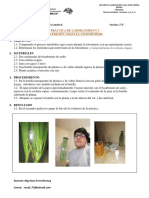 2° Abcd Practica N°2 de Ciencia y Tecnología - Nutrición Vegetal