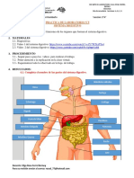 2° Abcd Practica N°5 de CT Sistema Digestivo