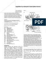 Combinatorial Gene Control