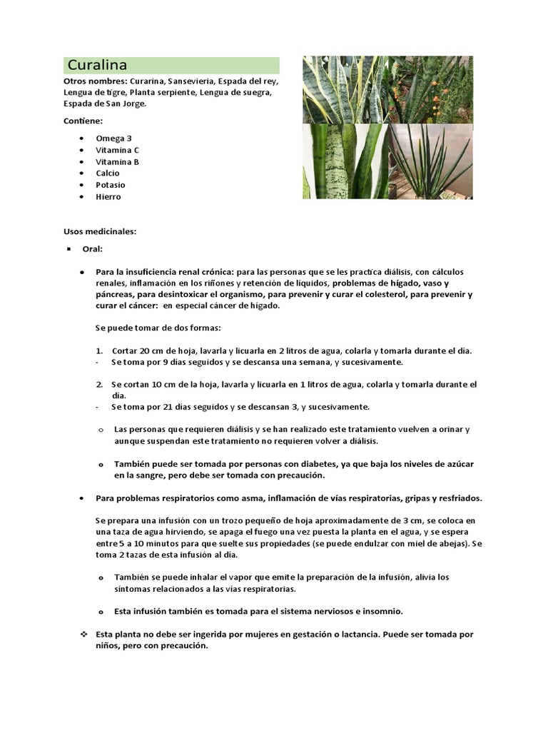 Curalina Usos Medicinales PDF Diálisis Riñón