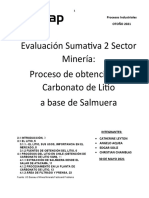 Informe Proceso de Obtencion de Carbonato de Litio en Base A Salmuera - A Aqueo - C Leyton - e Solis - C Chamblas